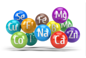 비타민, 미네랄, 단백질! 필수 영양소가 주는 놀라운 효과