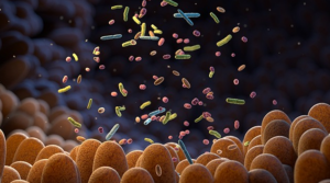 소화 건강부터 정신 건강까지! 장내 미생물의 숨겨진 영향