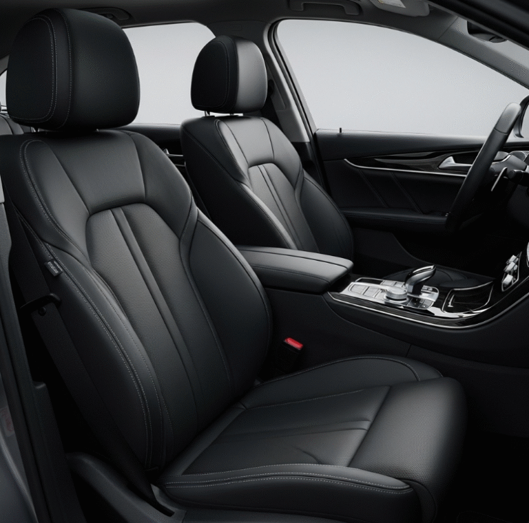 자동차 시트 세탁 & 관리 방법