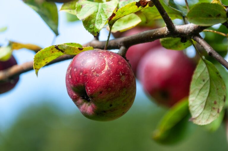 피로 회복 영양제 가성비 추천 (연간 5만 원대 최저가 비교)
