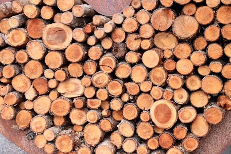 Free stock photo of canon 90 d, firewood, wood