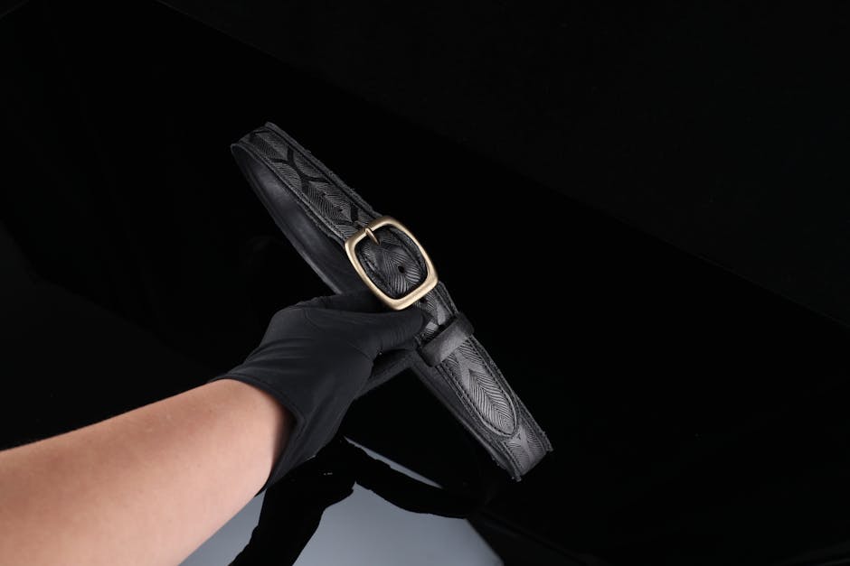 Free stock photo of belt, crocodile, leather