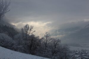 Peaceful snowy winter scene with trees and cloudy sky in a rural area.