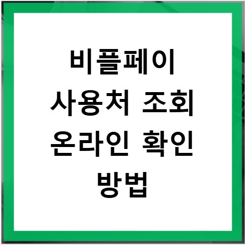비플페이 사용처 조회 온라인 확인 방법