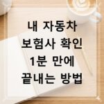 내 자동차 보험사 확인 1분 만에 끝내는 방법