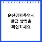 운전경력증명서 발급 방법을 확인하세요