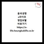 흥국생명 e라이프 영업포탈 바로가기 https://e-life.heungkuklife.co.kr