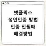 넷플릭스 성인인증 방법 인증 안될때 해결방법