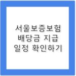 서울보증보험 배당금, 주주라면 놓칠 수 없는 지급 일정