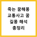 죽는 꿈해몽 교통사고 꿈 길몽 해석 총정리
