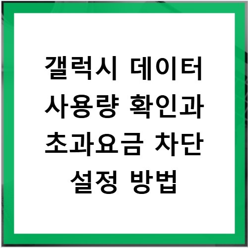 갤럭시 데이터 사용량 확인과 초과요금 차단 설정 방법
