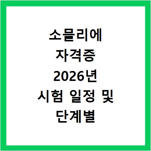 소믈리에 자격증 2026년 시험 일정 및 단계별 합격 전략