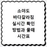 소야도 바다갈라짐 실시간 확인 방법과 물때 시간표