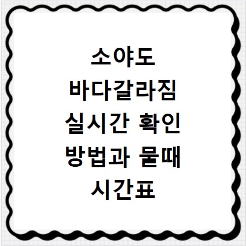 소야도 바다갈라짐 실시간 확인 방법과 물때 시간표