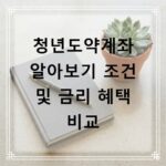 청년도약계좌 알아보기 조건 및 금리 혜택 비교