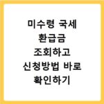 미수령 국세 환급금 조회하고 신청방법 바로 확인하기