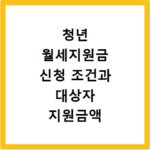 청년 월세지원금 신청 조건과 대상자 지원금액 빠르게 확인하기