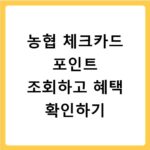 농협 체크카드 포인트 조회하고 혜택 확인하기