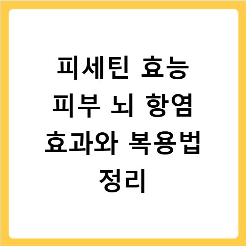피세틴 효능 피부 뇌 항염 효과와 복용법 정리