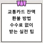 교통카드 잔액 환불 방법 수수료 없이 받는 실전 팁