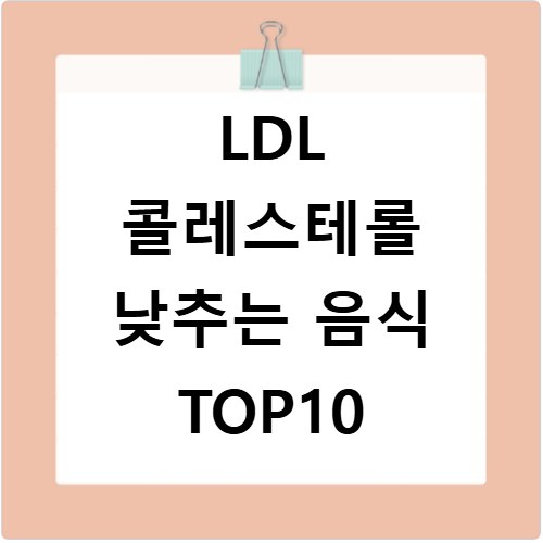 LDL 콜레스테롤 낮추는 음식 TOP10