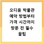 오디움 박물관 예약 방법부터 가격 시간까지 방문 전 필수 꿀팁 정리
