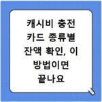 캐시비 충전 카드 종류별 잔액 확인, 이 방법이면 끝나요