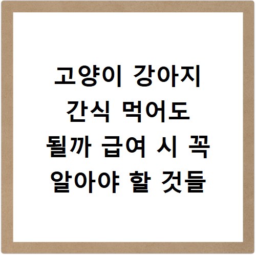 고양이 강아지 간식 먹어도 될까 급여 시 꼭 알아야 할 것들