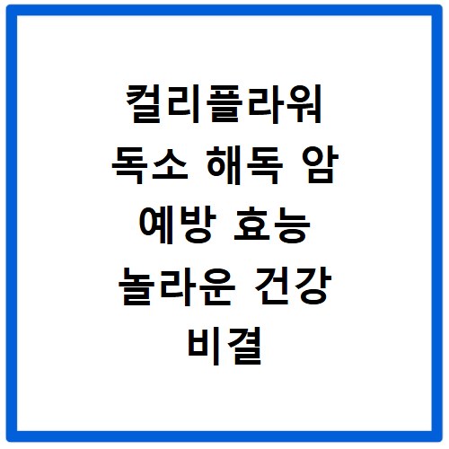 컬리플라워 독소 해독 암 예방 효능 놀라운 건강 비결 공개