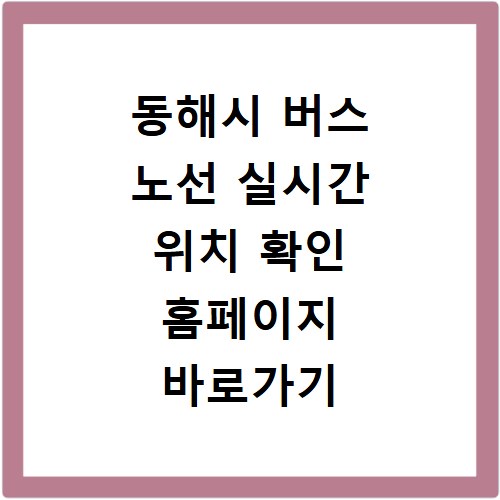 동해시 버스 노선 실시간 위치 확인 홈페이지 바로가기
