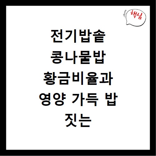 전기밥솥 콩나물밥 황금비율과 영양 가득 밥 짓는 비법