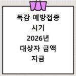 독감 예방접종 시기 2026년 대상자 금액 지금 바로 확인하세요