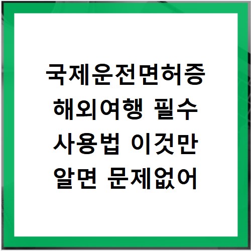 국제운전면허증 해외여행 필수 사용법 이것만 알면 문제없어