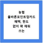 농협 올바른포인트업카드 혜택, 한도 없이 꽉 채워 쓰는 비법