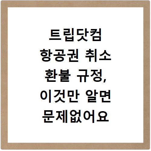 트립닷컴 항공권 취소 환불 규정, 이것만 알면 문제없어요