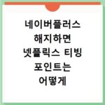 네이버플러스 해지하면 넷플릭스 티빙 포인트는 어떻게 될까