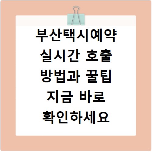 부산택시예약 실시간 호출 방법과 꿀팁 지금 바로 확인하세요