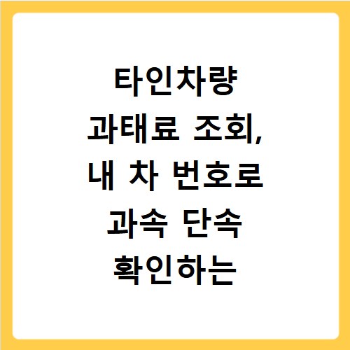 타인차량 과태료 조회, 내 차 번호로 과속 단속 확인하는 방법