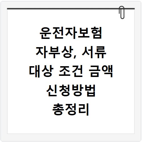 운전자보험 자부상, 서류 대상 조건 금액 신청방법 총정리