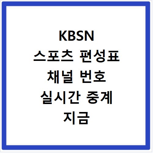 KBSN 스포츠 편성표 채널 번호 실시간 중계 지금 바로 확인하세요