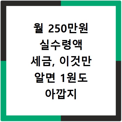 월 250만원 실수령액 세금, 이것만 알면 1원도 아깝지 않아요