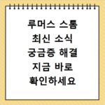 루머스 스톰 최신 소식 궁금증 해결 지금 바로 확인하세요